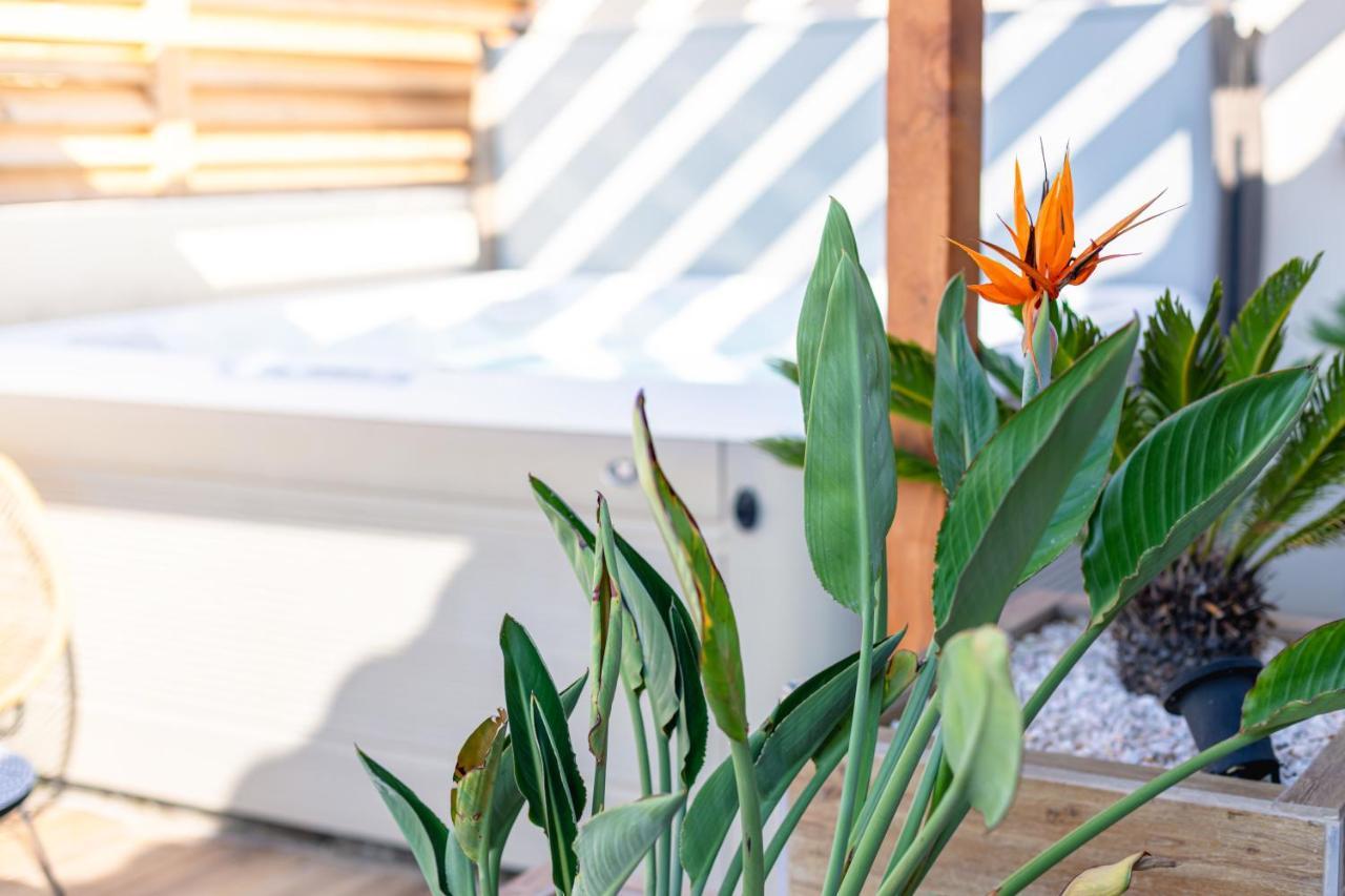 L'entre deux-suite romantique - jacuzzi privatif - 1 petit déjeuner pour 2 OFFERT Le Somail Esterno foto